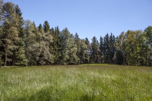 Anders Wandern