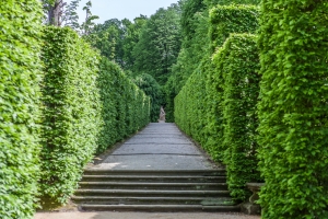 Barockgarten Großsedlitz