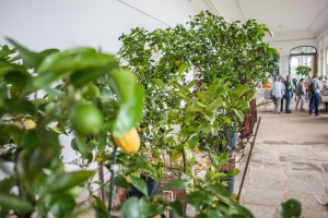 Barockgarten Großsedlitz Orangerie