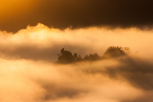 Bastei in goldenem Licht