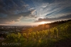 Sonnenuntergang über den Weinbergen