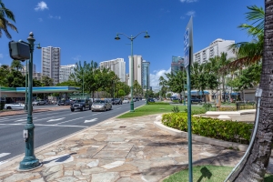 MG_6384