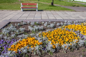 Petrosawodsk