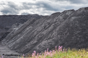 Schungit Mine