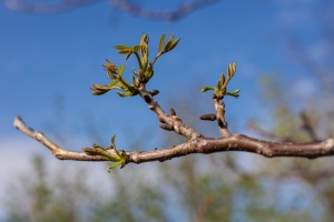 Der Zyklus startet neu