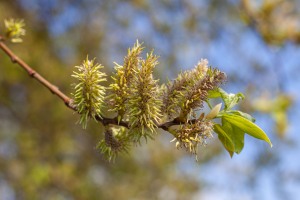 Der Zyklus startet neu