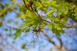 Der Zyklus startet neu