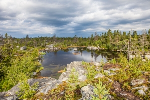 _MG_4019